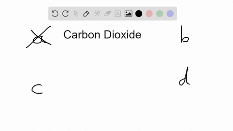 most-carbon-dioxide-in-the-blood-is-in-the-form-of-____-a-carbon-dioxide-b-carbon-monoxide-c-carboni