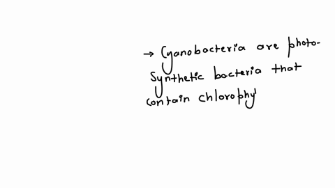 which-protists-have-photosynthetic-pigments-similar-to-those-of-the-cyanobacteria-a-golden-algae-b-2