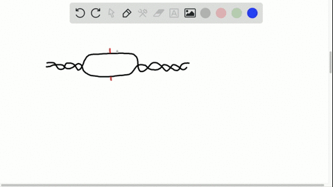 what-similarities-and-differences-exist-in-the-enzymatic-activities-of-dna-polymerases-i-and-iii-w-2