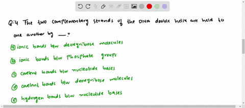 the-two-complementary-strands-of-the-dna-double-helix-are-held-to-one-another-by-a-ionic-bonds-betwe