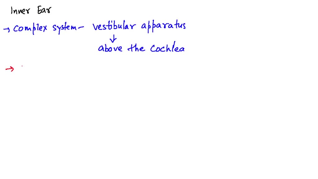 SOLVED:Vestibular apparatus consists of (a) Three semicircular canal (b ...