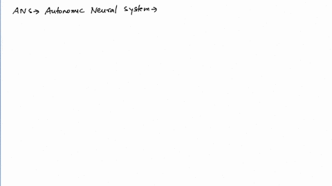 which-of-the-following-system-relays-impulse-from-cns-to-skeletal-muscles-a-somatic-neural-system-b-