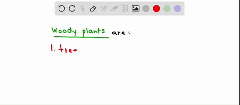 what-are-examples-of-woody-plants-a-trees-b-shrubs-c-herbaceous-plants-d-all-of-the-above-e-only-a-a