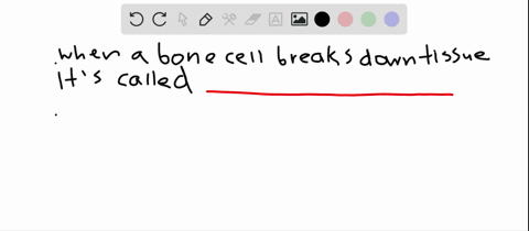the-bone-cell-responsible-for-breaking-down-bone-tissue-is-the-_________-whereas-the-bone-cell-that-