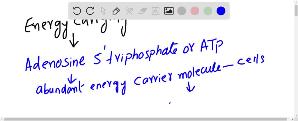 SOLVED: The Most Common Energy-carrying Molecule In All Organisms Is (a ...