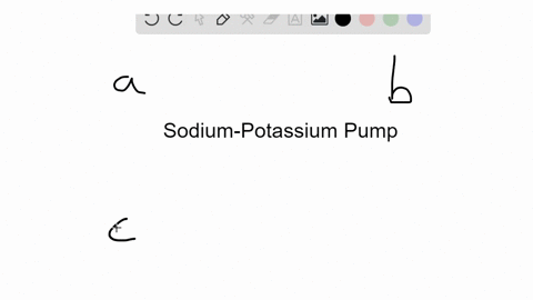 suppose-a-cell-is-placed-in-a-solution-with-a-high-concentration-of-potassium-and-no-sodium-how-woul