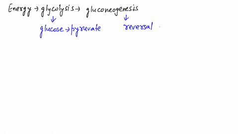 explain-how-the-energy-releasing-steps-of-glycolysis-are-reversed-in-gluconeogenesis