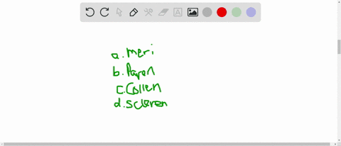 which-of-the-following-cell-types-forms-most-of-the-inside-of-a-plant-a-meristem-cells-b-collenchyma