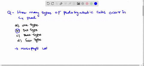 how-many-types-of-photosynthetic-cells-occur-in-mathrmc_4-plant-a-one-type-b-two-types-c-four-types-