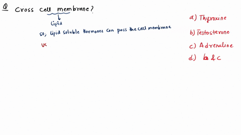 which-of-the-following-harmones-can-cross-lipid-or-cell-membrane-a-thyroxin-b-testosterone-c-adrenal