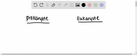 which-of-the-following-clues-would-tell-you-whether-a-cell-is-prokaryotic-or-eukaryotic-a-the-presen