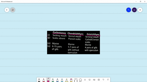 select-the-correct-option-in-respect-of-cbaracteristics-of-each-cyclostomes-chondrichthyes-osteichth