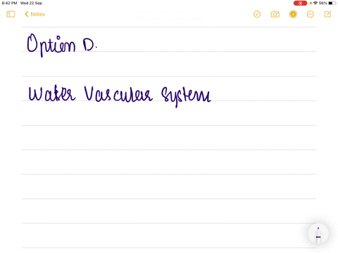 water-vascular-system-helps-in-a-locomotion-b-capture-and-transport-of-food-c-respiration-d-all-of-t