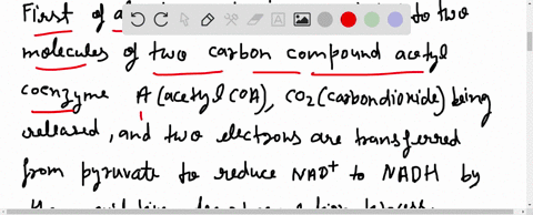 the-krebs-cycle-converts-_____-through-a-cycle-of-reactions-in-the-process-atp-_____-and-______-are-