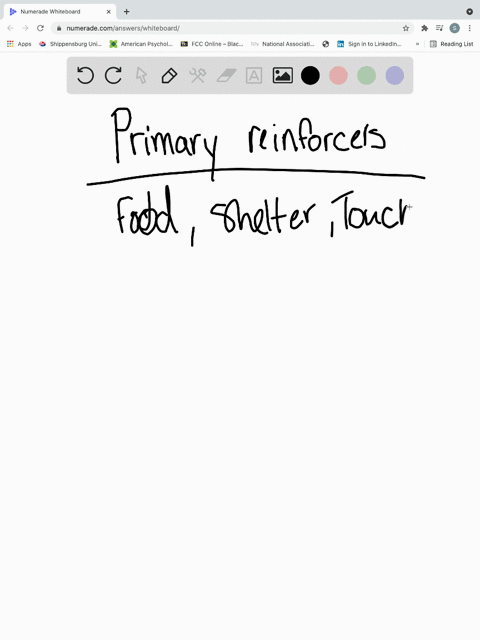 all-of-the-following-are-examples-of-primary-reinforcers-except-a-a-rats-food-reward-in-a-skinner-bo