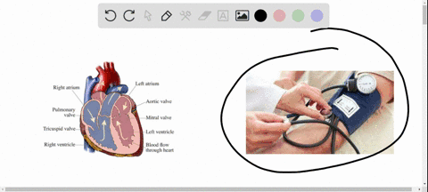 explain-why-a-doctor-listens-at-your-inner-elbow-with-a-stethoscope-when-measuring-your-blood-pressu