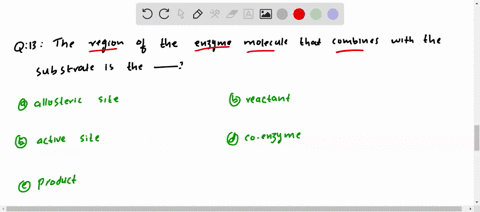 the-region-of-an-enzyme-molecule-that-combines-with-the-substrate-is-the-a-allosteric-site-b-reactan