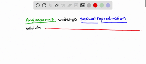 sexual-reproduction-in-angiosperms-a-is-by-way-of-apomixis-b-requires-the-presence-of-petals-c-can-b