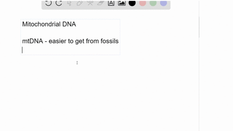 explain-why-mitochondrial-dna-instead-of-nuclear-dna-is-used-to-study-the-evolution-of-modern-humans