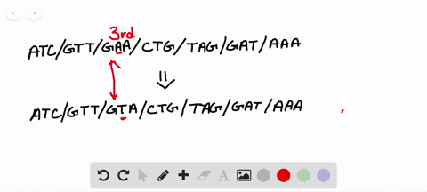 the-genetic-code-is-based-on-each-amino-acid-being-coded-for-by-a-distinctive-series-of-three-nuclei