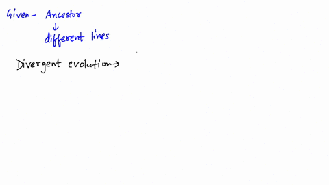 through-_________-a-body-part-of-an-ancestor-is-modified-differently-in-different-lines-of-descent-2