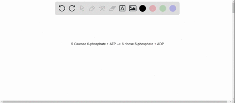 a-required-atp-the-metabolism-of-glucose-6-phosphate-into-ribose-5-phosphate-by-the-joint-efforts-of