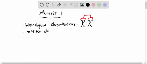 directions-each-of-the-questions-or-incomplete-statements-below-is-followed-by-five-suggested-answ-3