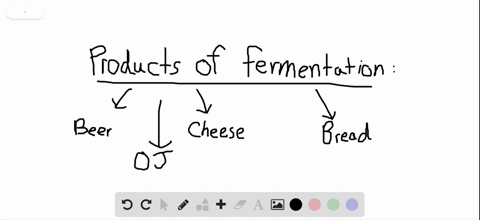 which-of-the-following-foods-is-not-made-by-fermentation-a-beer-b-bread-c-cheese-d-orange-juice