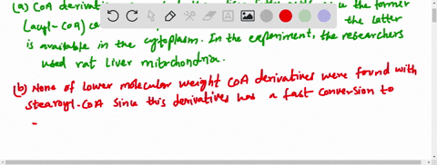 beta-oxidation-of-trans-fats-unsaturated-fats-with-trans-double-bonds-are-commonly-referred-to-as-tr
