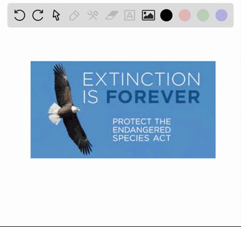 use-the-internet-to-search-for-examples-of-conflicts-involving-the-endangered-species-act-and-the--2