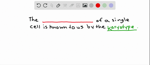a-karyotype-reveals-the-____-of-a-single-cell-a-base-sequences-b-chromosomes-c-hereditary-informatio