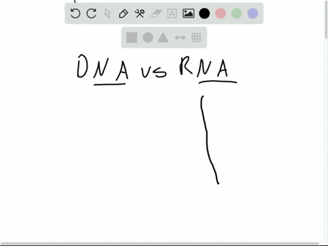 rna-is-different-from-dna-in-which-of-the-following-ways-a-rna-is-generally-single-stranded-b-rna-co