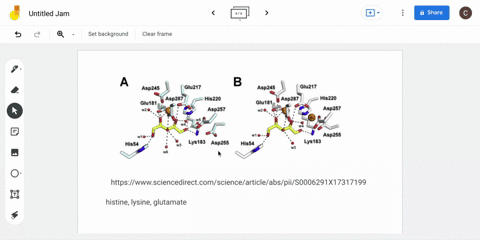 the-descending-leg-of-the-ph-rate-profile-for-glucose-6-phosphate-isomerase-indicates-that-one-of-th