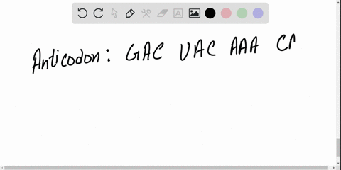 list-the-codons-to-which-the-following-anticodons-would-form-base-pairs-beginarrayllllltext-anticodo