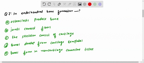 in-endochondral-bone-formation-a-osteoclasts-produce-bone-b-joints-connect-fibers-c-the-skeleton-con