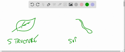 photosynthesis-ceases-when-leaves-wilt-mainly-because-beginequationbeginarrayltext-a-the-chlorophyll