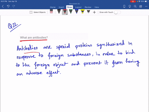what-are-antibodies-2