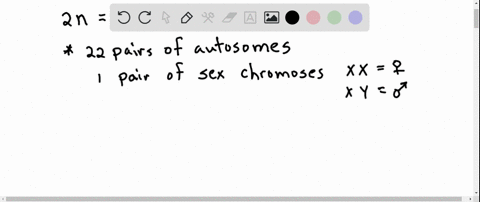 why-are-individuals-with-an-extra-chromosome-21-which-causes-down-syndrome-more-numerous-than-indivi