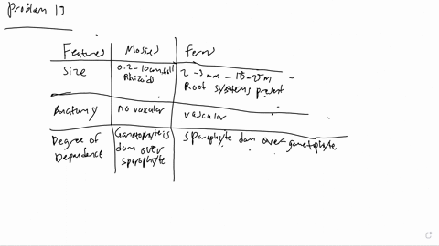 compare-the-size-anatomical-complexity-and-degree-of-independence-of-a-moss-gametophyte-and-a-fern-g