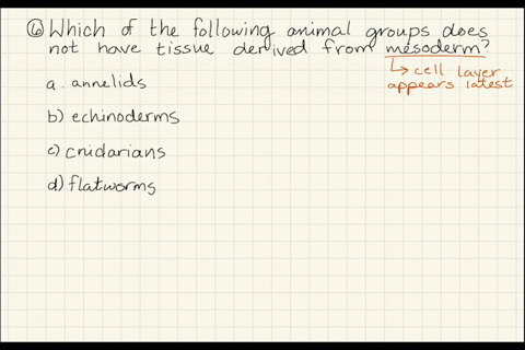 which-of-the-following-animal-groups-does-not-have-tissues-derived-from-mesoderm-a-annelids-b-echi-2