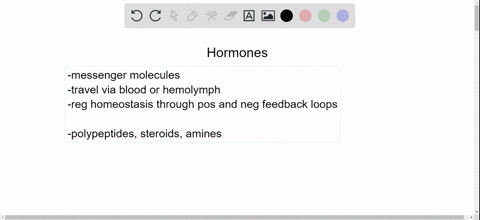 which-of-the-following-is-not-an-accurate-statement-a-hormones-are-chemical-messengers-that-travel-t
