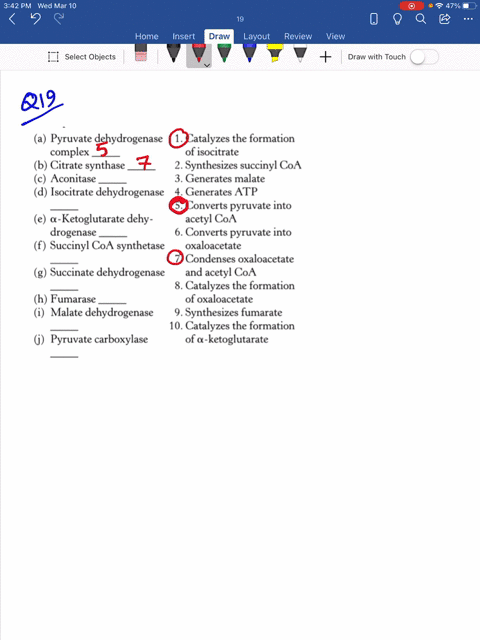 SOLVED:Match each enzyme with its description. (COLUMN CAN'T COPY)
