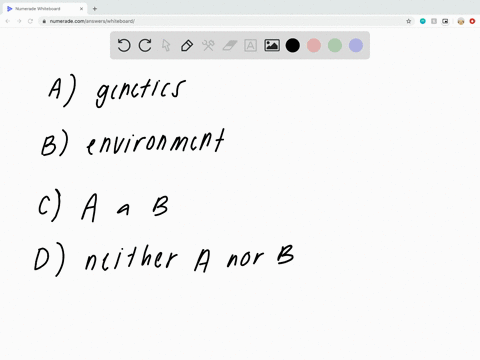 where-does-high-intelligence-come-from-a-genetics-b-environment-c-both-a-and-b-d-neither-a-nor-b