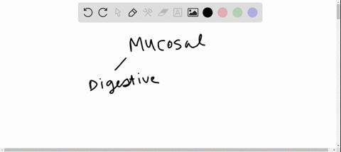 the-major-class-of-immunoglobulin-found-on-the-surfaces-of-the-walls-of-the-intestines-and-airways-i
