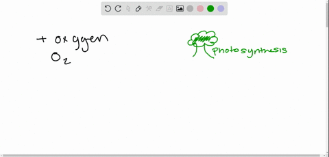 which-of-the-following-contributes-oxygen-to-a-freshwater-lake-a-photosynthesis-b-algal-growth-c-dec
