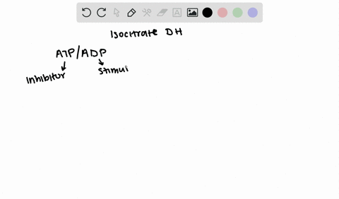 how-does-an-increase-in-the-adpatp-ratio-affect-the-activity-of-isocitrate-dehydrogenase-2