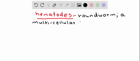which-of-the-following-nematodes-cause-disease-a-filarial-worms-c-trichina-worms-b-pinworms-d-all-of