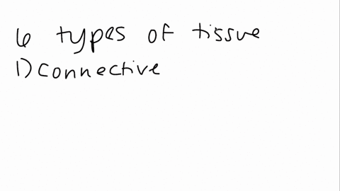 name-the-six-types-of-connective-tissues