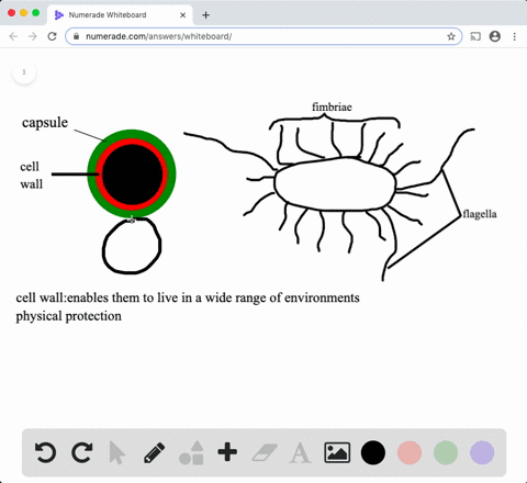 How Science Is Safeguarding the Microbial Backbone of Life: Protecting Prokaryotes From Being Withineden