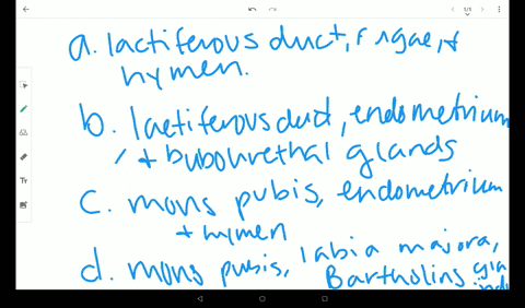 the-vulva-includes-the-____________________-a-lactiferous-duct-rugae-and-hymen-b-lactiferous-duct-en
